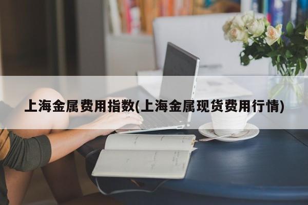 上海金属费用指数(上海金属现货费用行情)